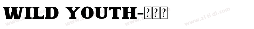 Wild youth字体转换
